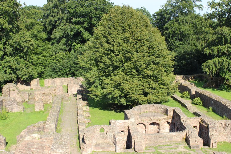 The ruins of St. Michaelskloster. I imagine the central tree as being much smaller in year's past, when it would have been completely surrounded by stone walls that have since yielded to the test of time... even as the tree perseveres in the face of the same.